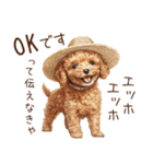 夏！暑さに負けないトイプードル（個別スタンプ：19）
