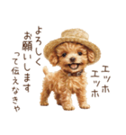 夏！暑さに負けないトイプードル（個別スタンプ：21）