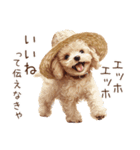 夏！暑さに負けないトイプードル（個別スタンプ：22）
