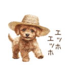 夏！暑さに負けないトイプードル（個別スタンプ：25）