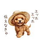 夏！暑さに負けないトイプードル（個別スタンプ：26）