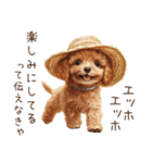 夏！暑さに負けないトイプードル（個別スタンプ：27）