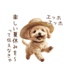 夏！暑さに負けないトイプードル（個別スタンプ：30）