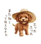 夏！暑さに負けないトイプードル（個別スタンプ：31）