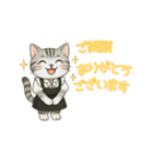 ネコの敬語スタンプ＊丁寧な接客対応に◎（個別スタンプ：19）