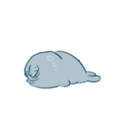アザラシ＆ハエトリグモSeal＆Jumpingspider（個別スタンプ：3）