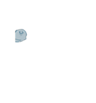 アザラシ＆ハエトリグモSeal＆Jumpingspider（個別スタンプ：9）