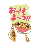 ヒョウモントカゲモドキのBIGスタンプ（個別スタンプ：1）