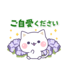気づかいのできるネコ♪真夏の敬語編☆（個別スタンプ：19）