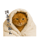 スプーニー vol3（個別スタンプ：13）