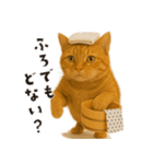 スプーニー vol3（個別スタンプ：16）