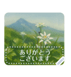 礼文の花(自由文字スタンプ) vol.2（個別スタンプ：1）