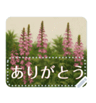 礼文の花(自由文字スタンプ) vol.2（個別スタンプ：4）