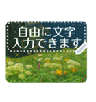 礼文の花(自由文字スタンプ) vol.2（個別スタンプ：8）