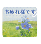 礼文の花(自由文字スタンプ) vol.2（個別スタンプ：12）