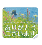 礼文の花(自由文字スタンプ) vol.2（個別スタンプ：13）
