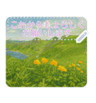礼文の花(自由文字スタンプ) vol.2（個別スタンプ：15）
