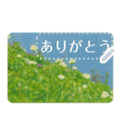 礼文の花(自由文字スタンプ) vol.2（個別スタンプ：19）