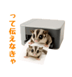 伝えたいフクモモ（個別スタンプ：2）