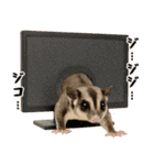 伝えたいフクモモ（個別スタンプ：3）
