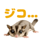 伝えたいフクモモ（個別スタンプ：4）