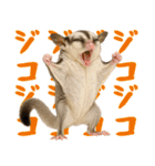 伝えたいフクモモ（個別スタンプ：5）