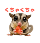 伝えたいフクモモ（個別スタンプ：6）
