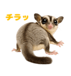 伝えたいフクモモ（個別スタンプ：7）