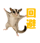 伝えたいフクモモ（個別スタンプ：9）
