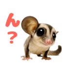 伝えたいフクモモ（個別スタンプ：13）