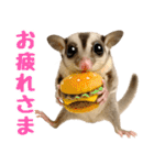 伝えたいフクモモ（個別スタンプ：14）