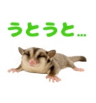 伝えたいフクモモ（個別スタンプ：17）