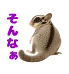伝えたいフクモモ（個別スタンプ：18）