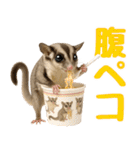 伝えたいフクモモ（個別スタンプ：20）