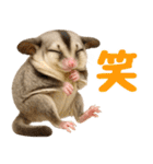 伝えたいフクモモ（個別スタンプ：22）