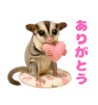 伝えたいフクモモ（個別スタンプ：24）