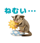 伝えたいフクモモ（個別スタンプ：26）