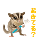 伝えたいフクモモ（個別スタンプ：27）