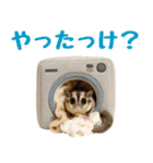 伝えたいフクモモ（個別スタンプ：29）