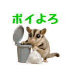 伝えたいフクモモ（個別スタンプ：31）