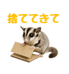 伝えたいフクモモ（個別スタンプ：32）