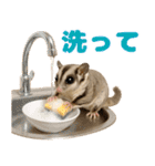 伝えたいフクモモ（個別スタンプ：34）