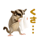 伝えたいフクモモ（個別スタンプ：36）