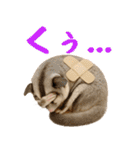 伝えたいフクモモ（個別スタンプ：38）