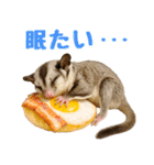 伝えたいフクモモ（個別スタンプ：40）