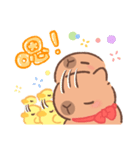 カピバラよく使うかわいいセリフとやりとり（個別スタンプ：19）
