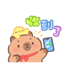 カピバラよく使うかわいいセリフとやりとり（個別スタンプ：40）