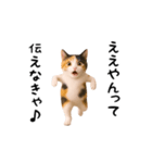 エッホエッホ猫（関西弁）（個別スタンプ：2）