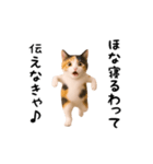 エッホエッホ猫（関西弁）（個別スタンプ：4）