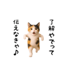 エッホエッホ猫（関西弁）（個別スタンプ：5）
